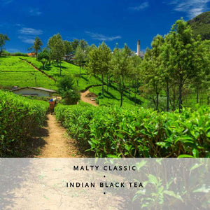 Assam Leaf Loose Leaf Black Tea