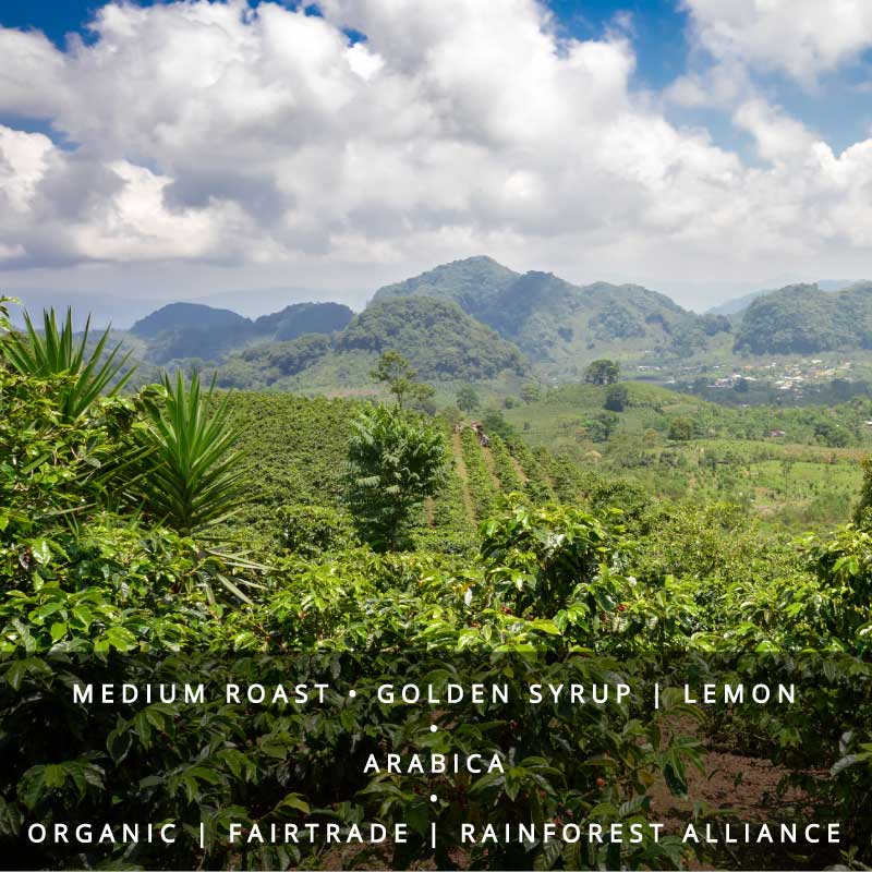 Honduran Coffee Fairtrade Organic Beans-Medium Roast