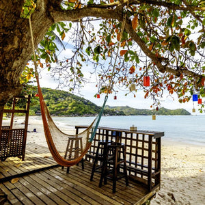 Pina Colada Infusion