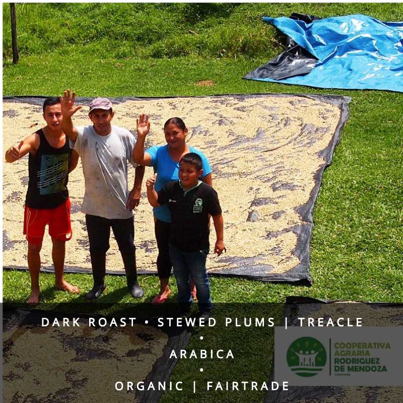 Rodríguez de Mendoza Fairtrade & Organic Coffee-Dark Roast