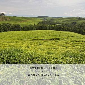 Rwanda Rukeri Loose Leaf Black Tea