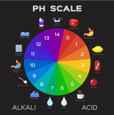 What is acidity in coffee?