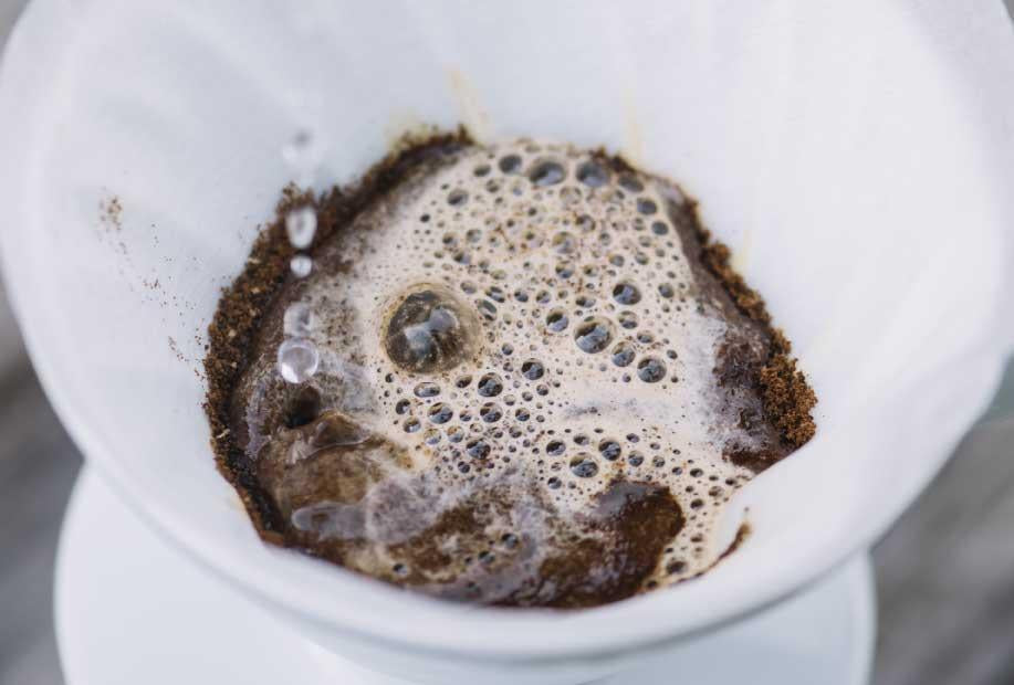 What is coffee bloom?